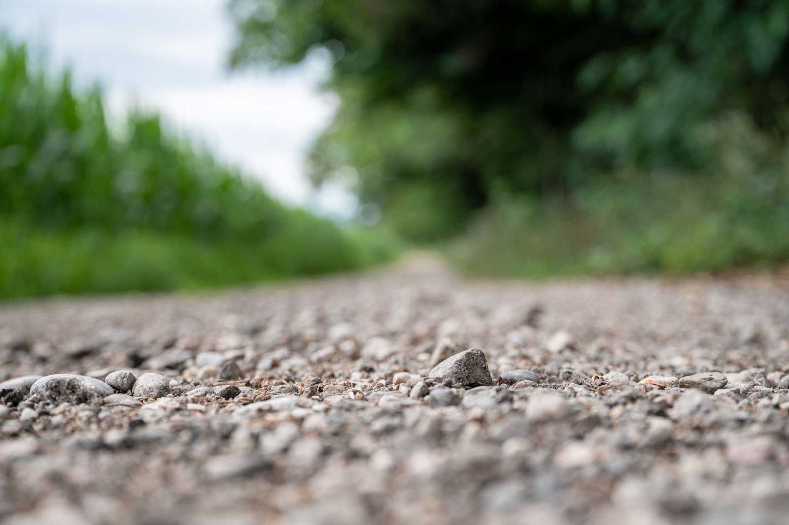 Low-angle view of a gravel driveway road through green countryside fields
