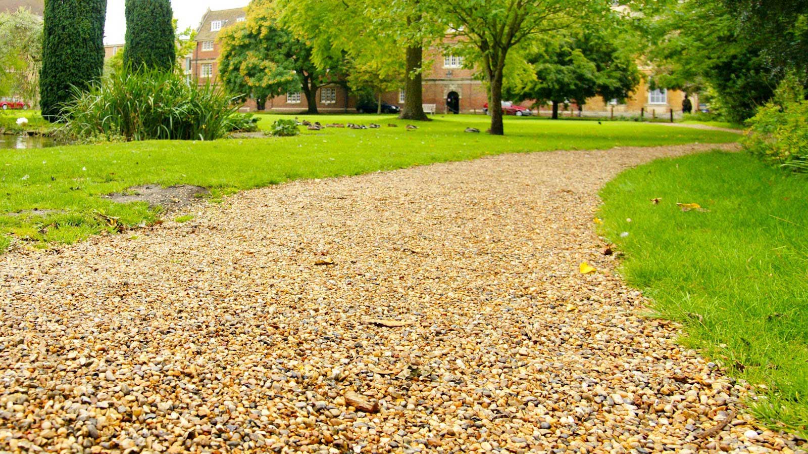 Winding gravel driveway path curving through a lush green college garden